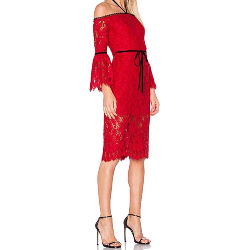 Alexis Ordettered lace dress